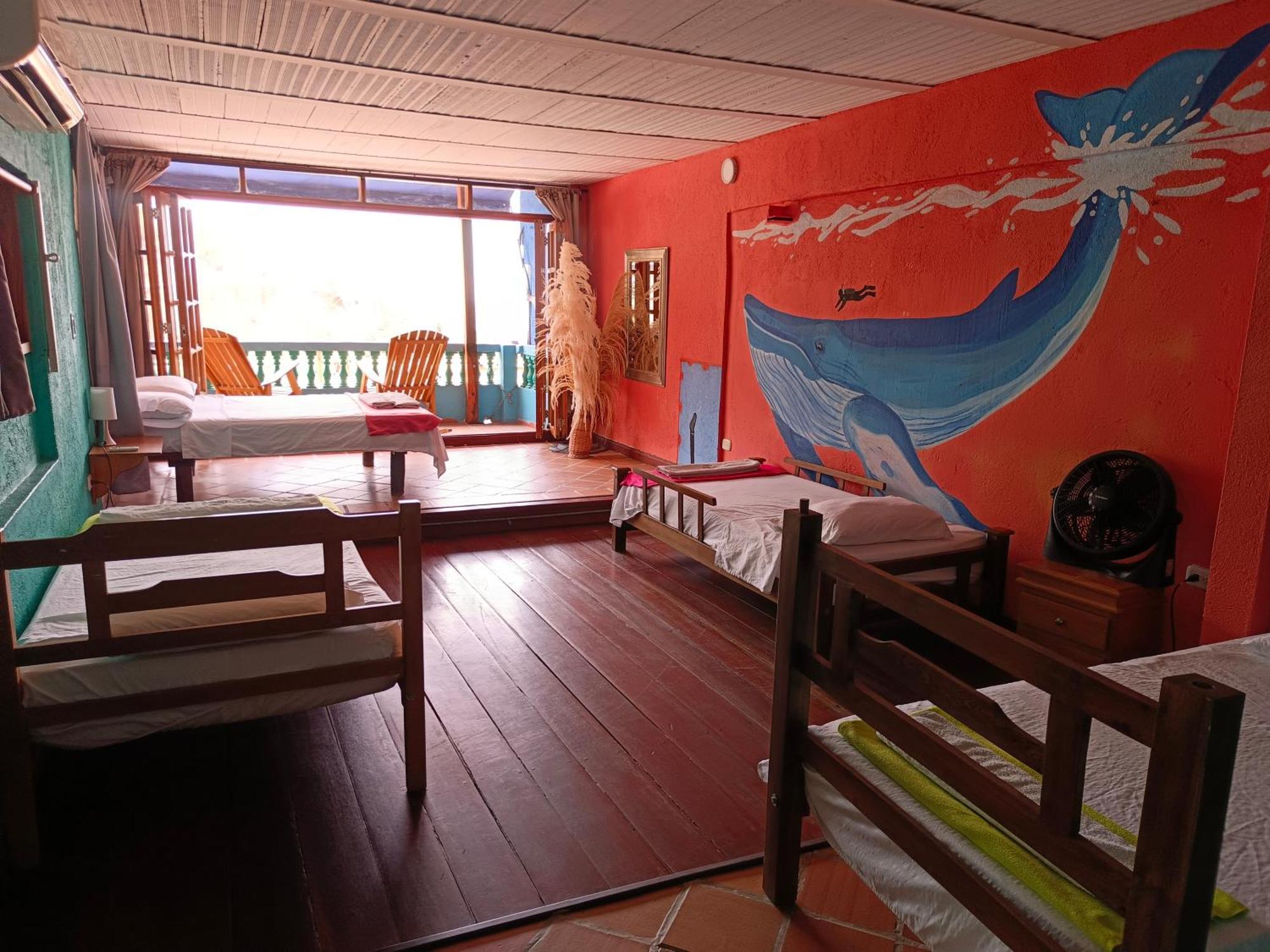 Tayrona Colors Hostel 타강가 외부 사진